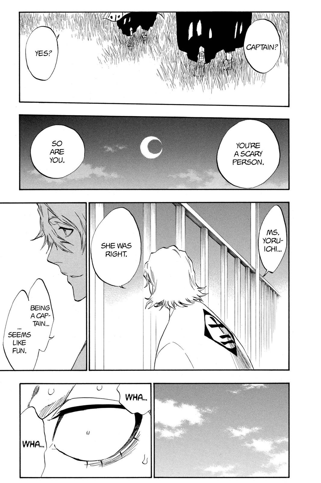 Bleach Chapter 315.5 - Page 44