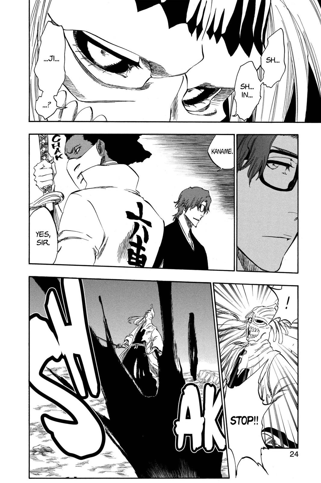 Bleach Chapter 315.8 - Page 23