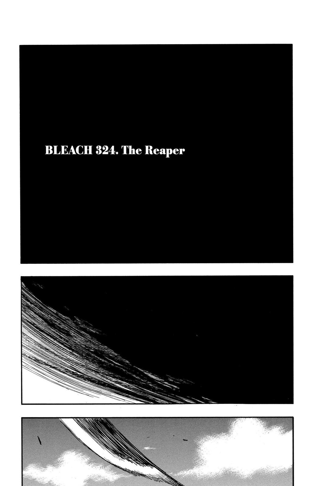 Bleach Chapter 324 - Page 3
