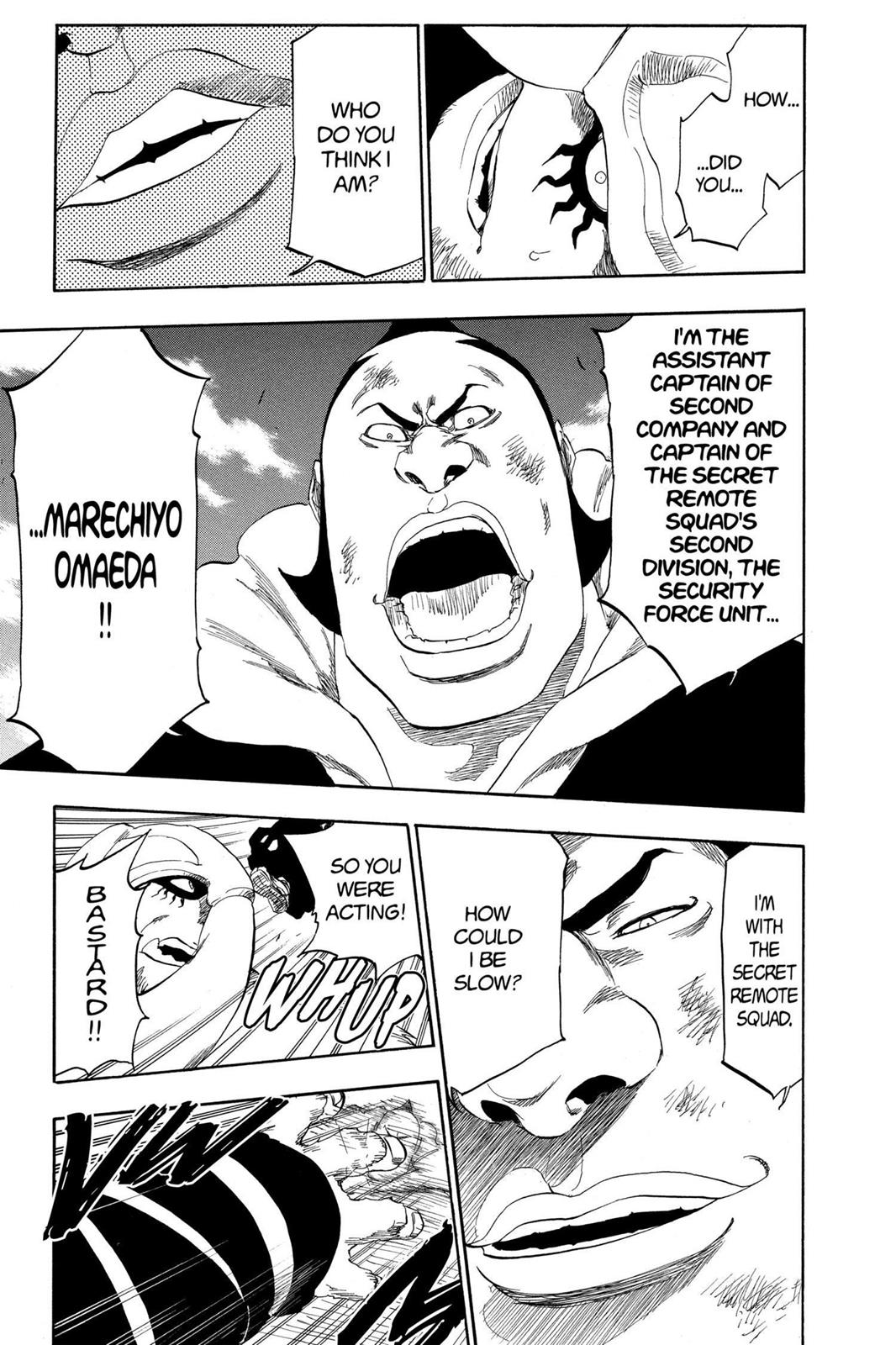 Bleach Chapter 331 - Page 17