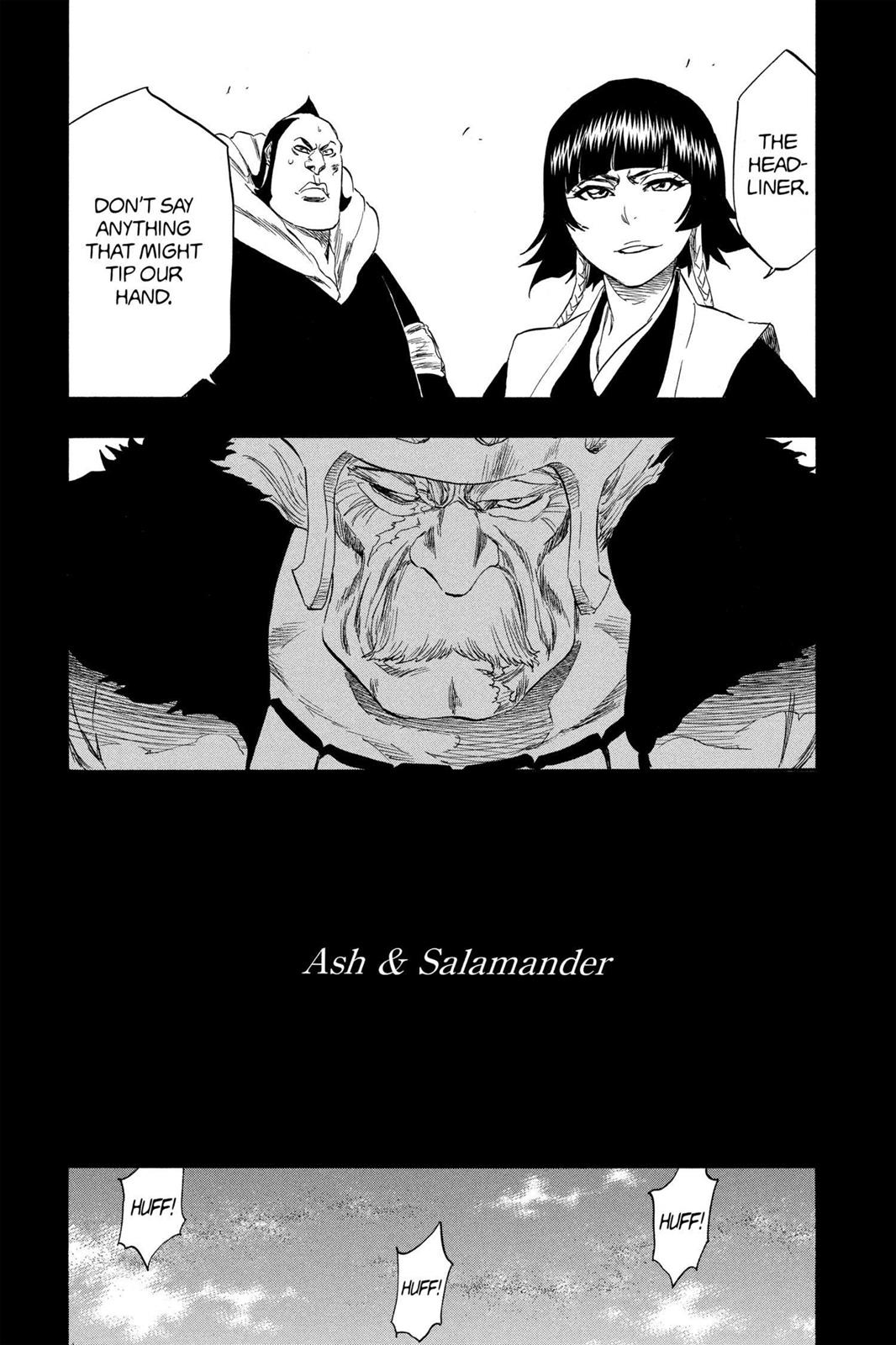 Bleach Chapter 333 - Page 13