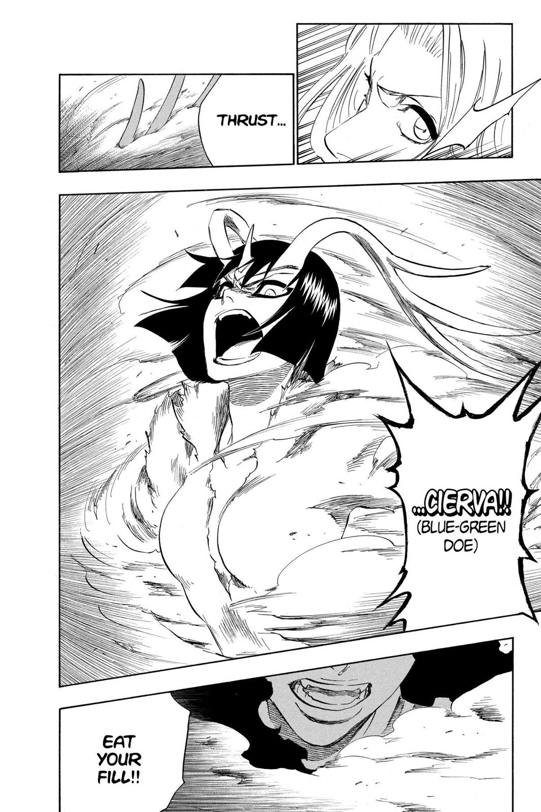 Bleach Chapter 335 - Page 17