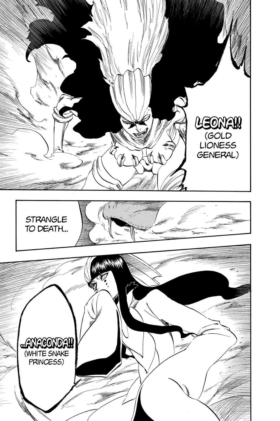 Bleach Chapter 335 - Page 18