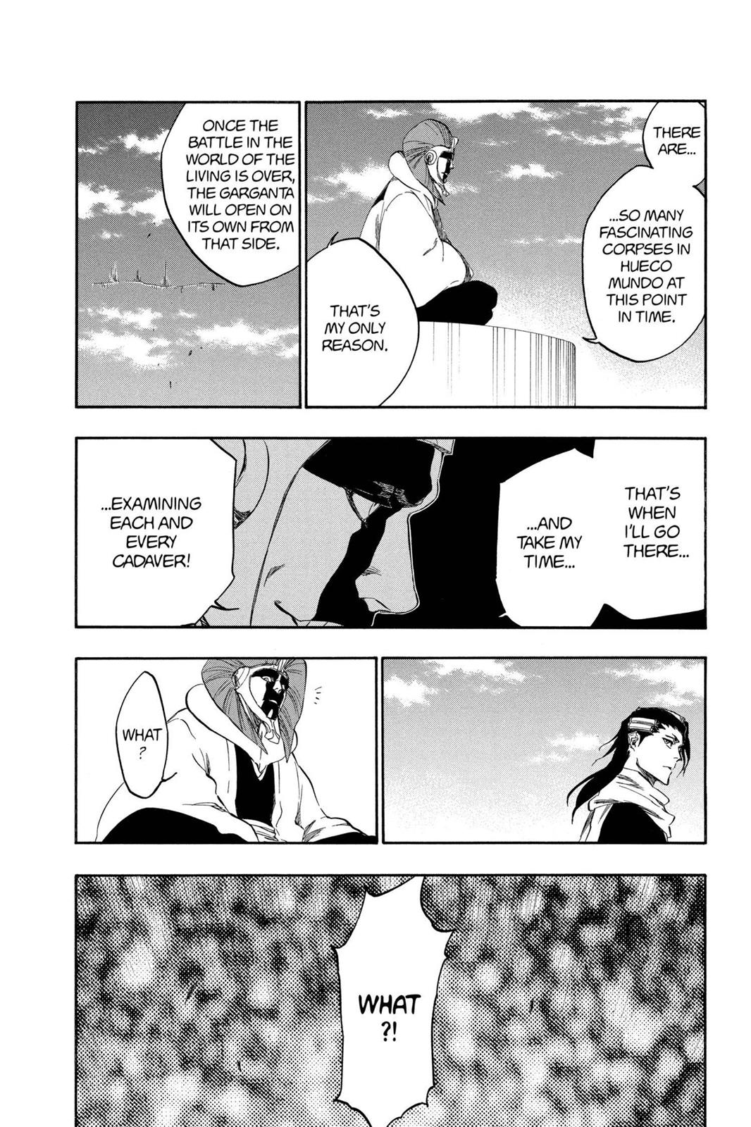 Bleach Chapter 381 - Page 14