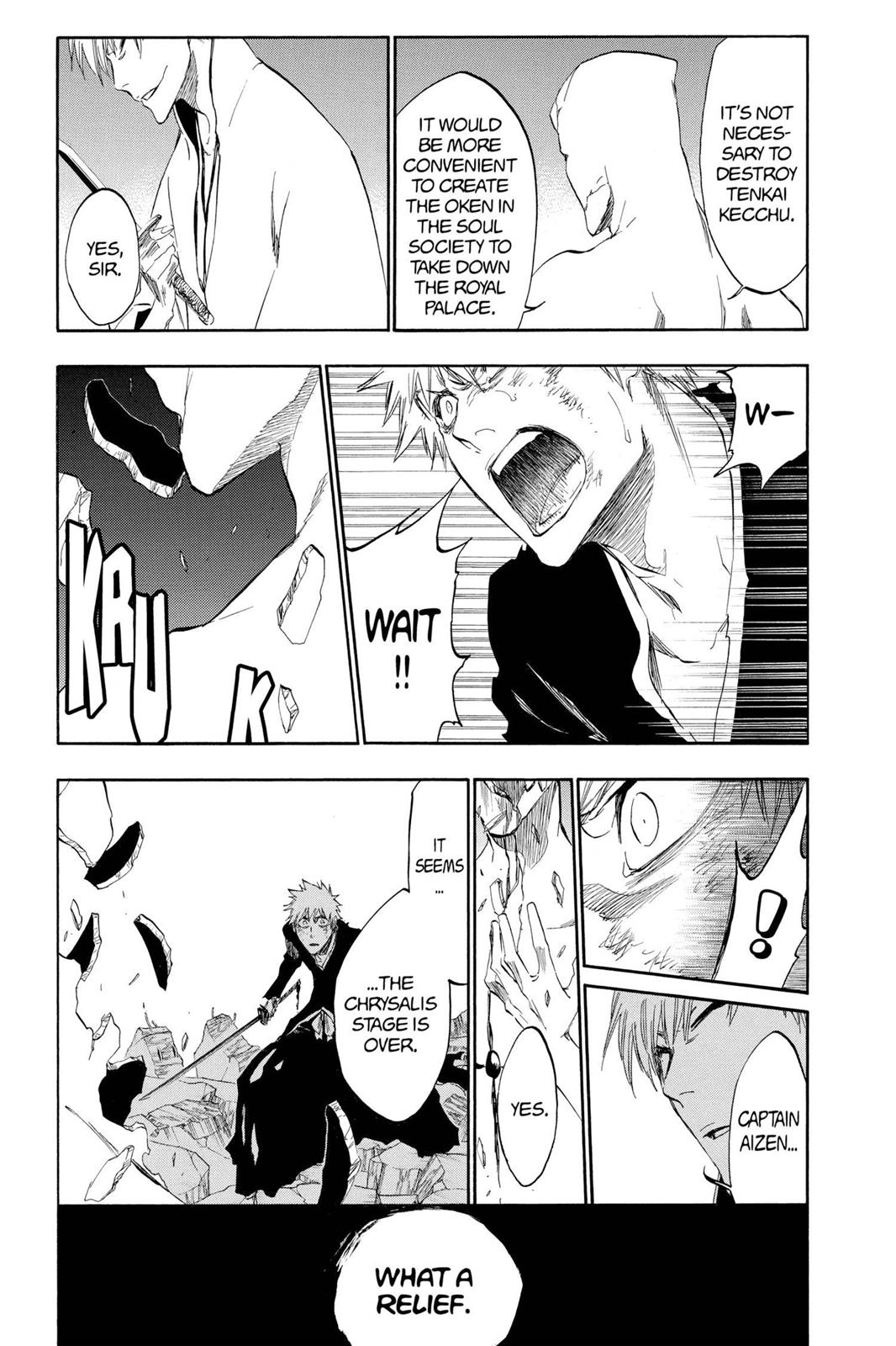 Bleach Chapter 406 - Page 15