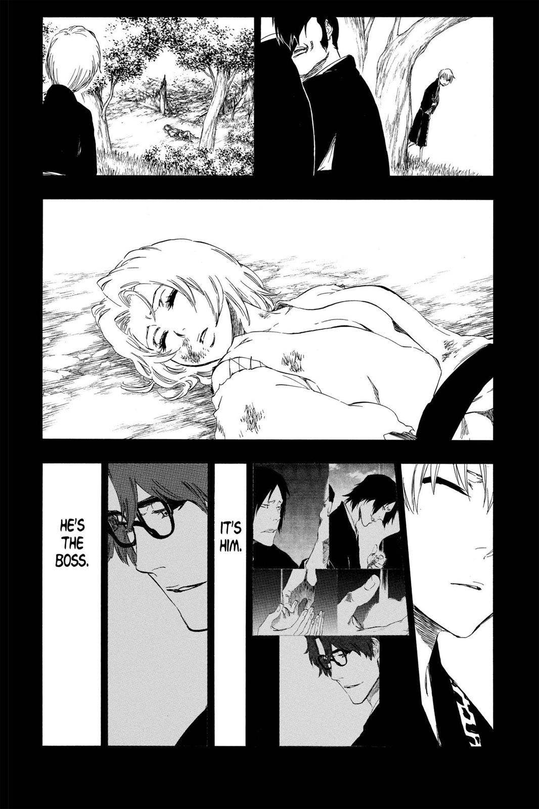 Bleach Chapter 415 - Page 17