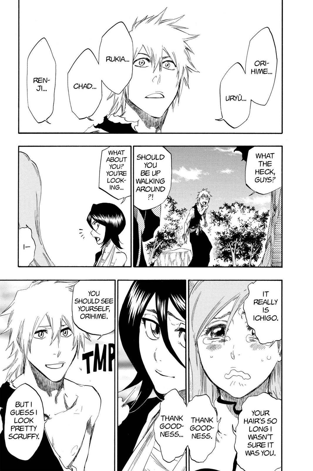 Bleach Chapter 422 - Page 17