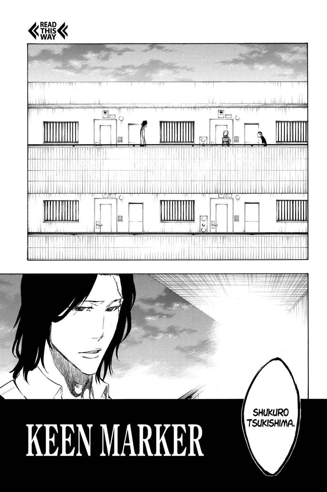 Bleach Chapter 439 - Page 9