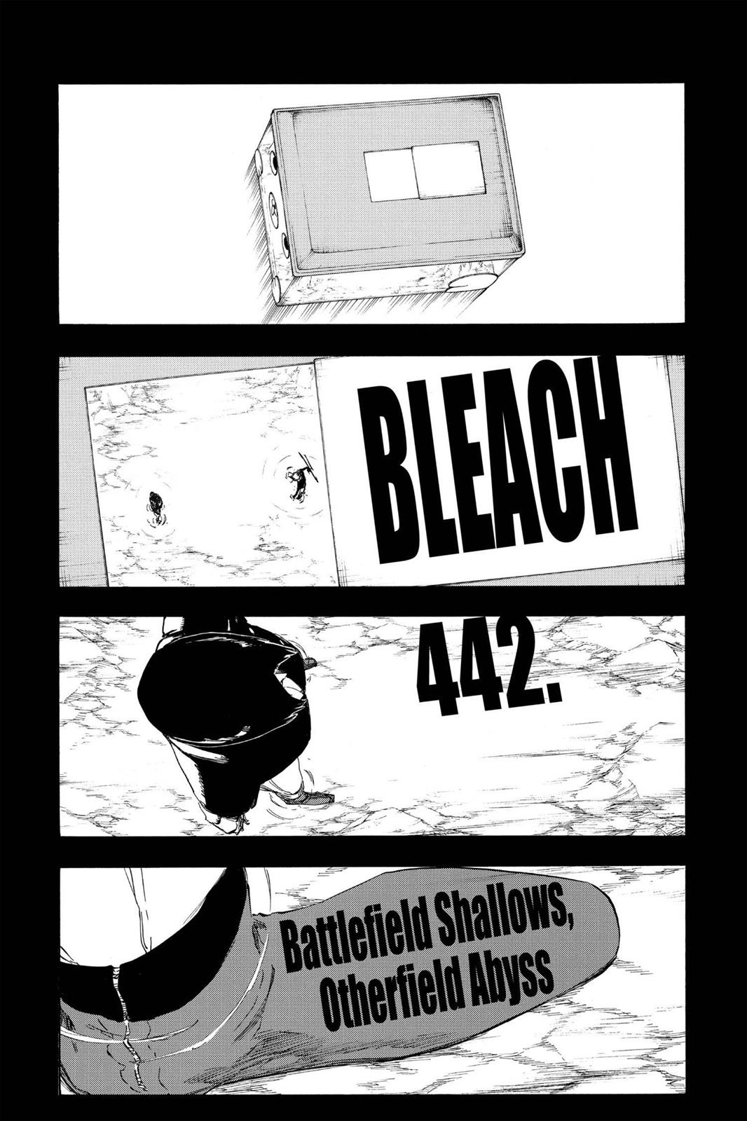 Bleach Chapter 442 - Page 9