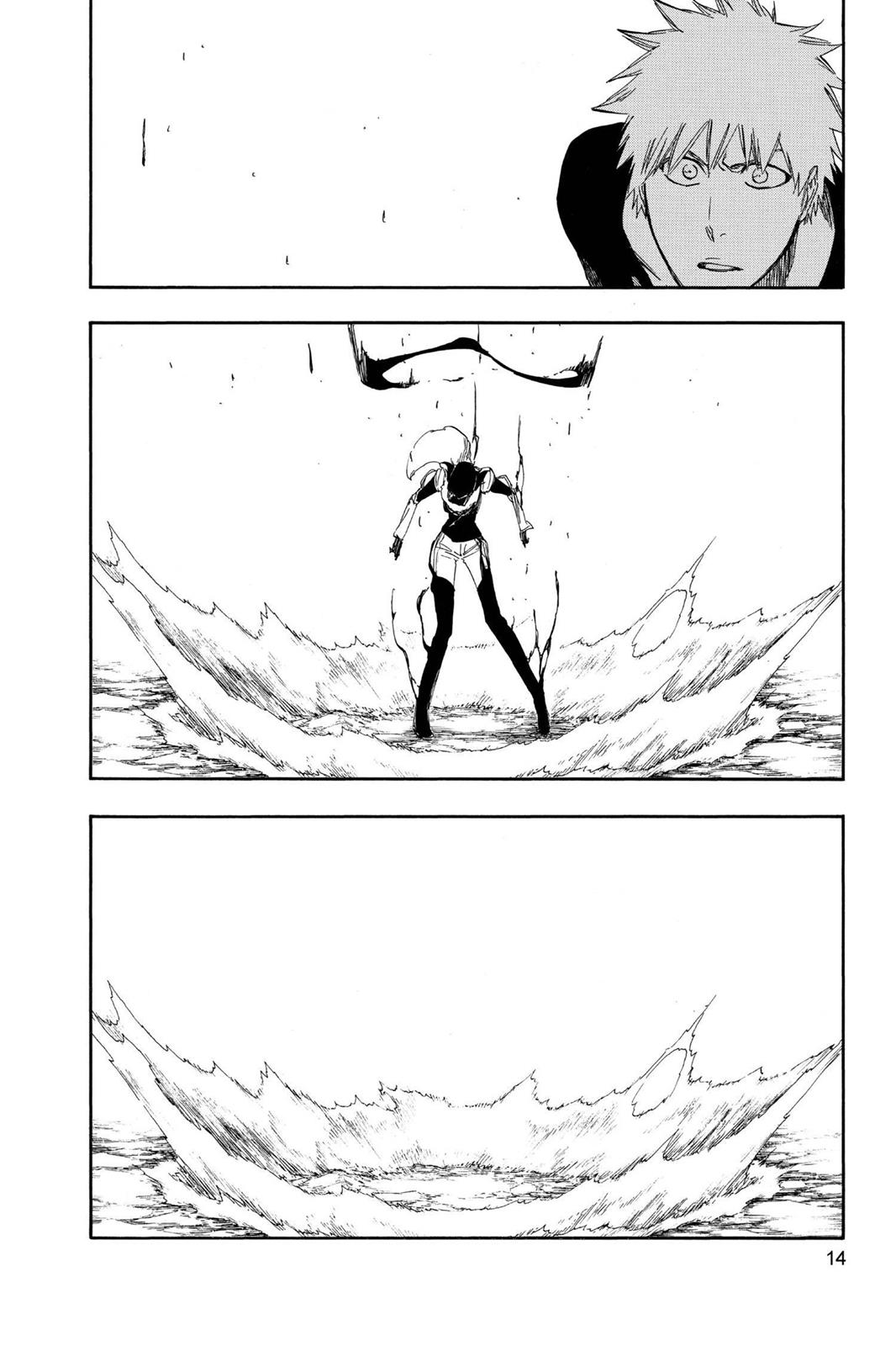 Bleach Chapter 442 - Page 14
