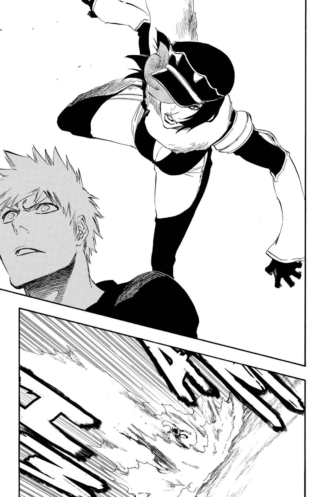 Bleach Chapter 442 - Page 15