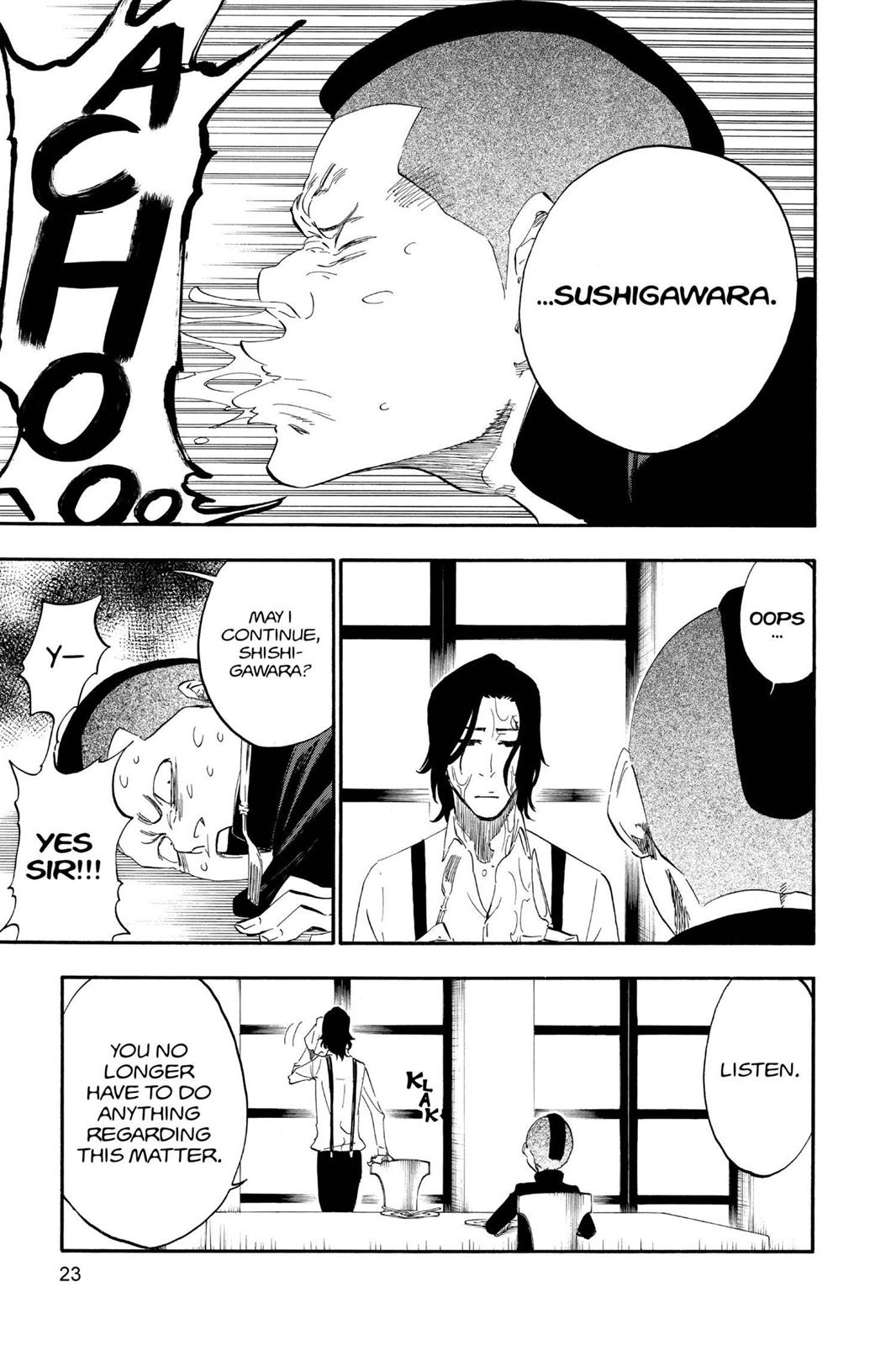 Bleach Chapter 442 - Page 23