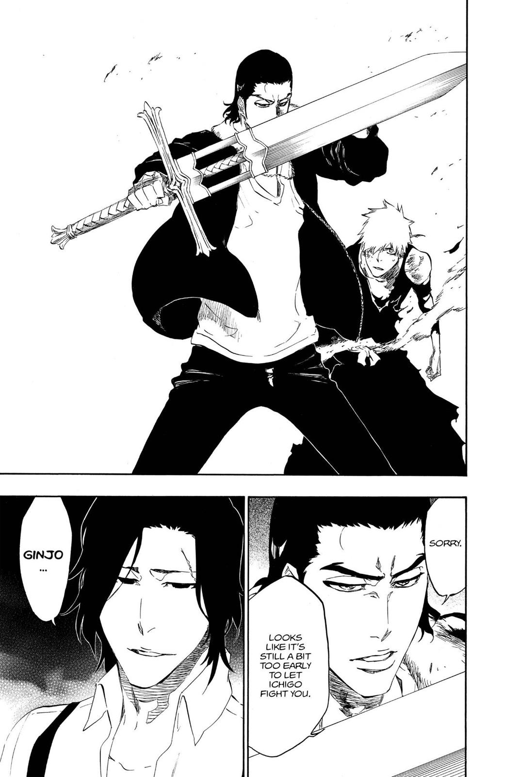 Bleach Chapter 445 - Page 19