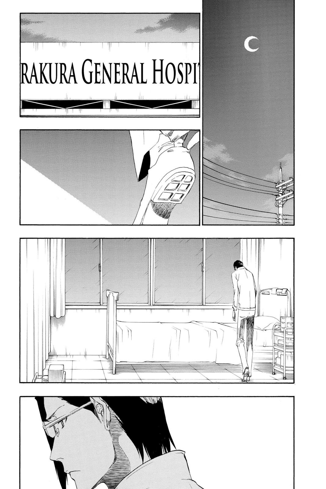 Bleach Chapter 454 - Page 17