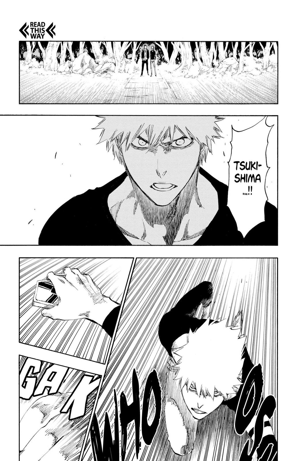 Bleach Chapter 455 - Page 3