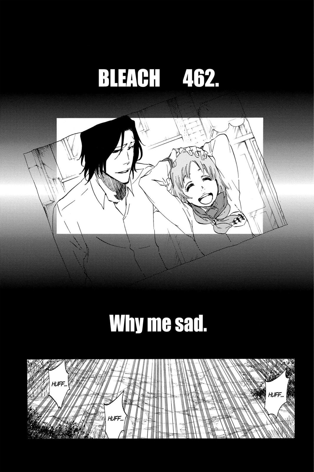 Bleach Chapter 462 - Page 5