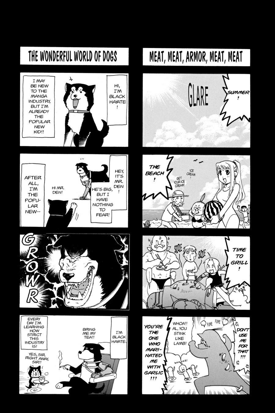 Fullmetal Alchemist Chapter 33.5 - Page 12