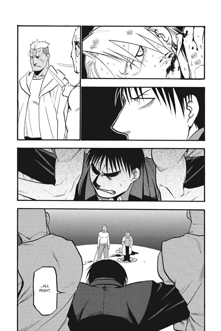 Fullmetal Alchemist Chapter 101 - Page 15