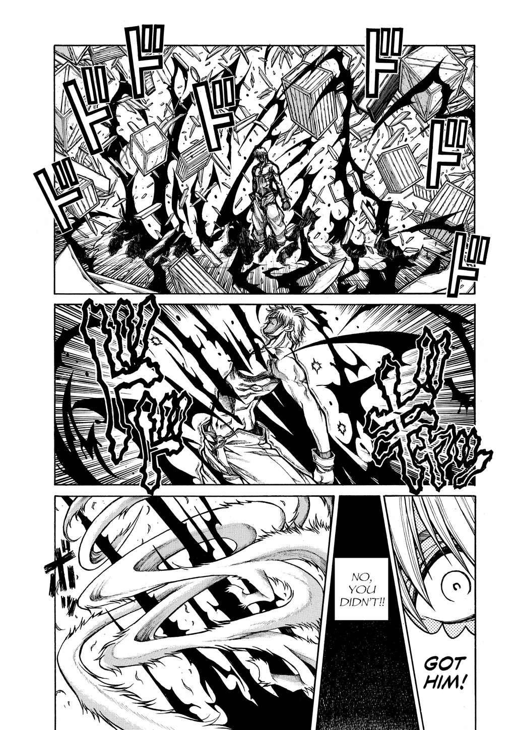HELLSING Chapter 9 - Page 220