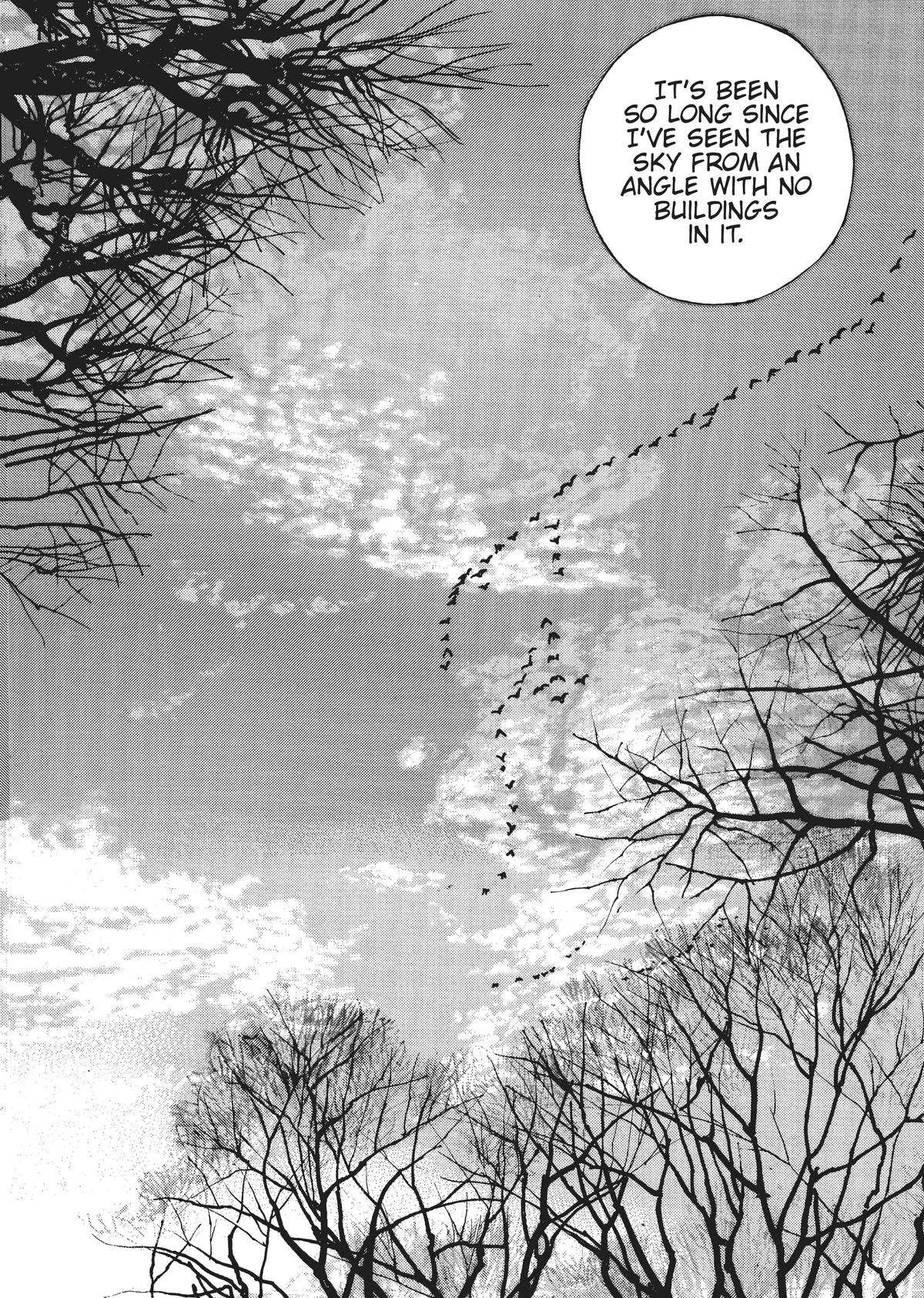 Homunculus Chapter 4 - Page 244