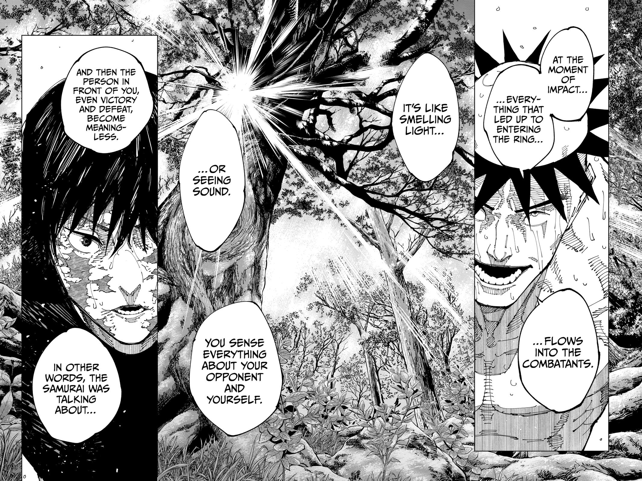 Jujutsu Kaisen Chapter 196 - Page 14