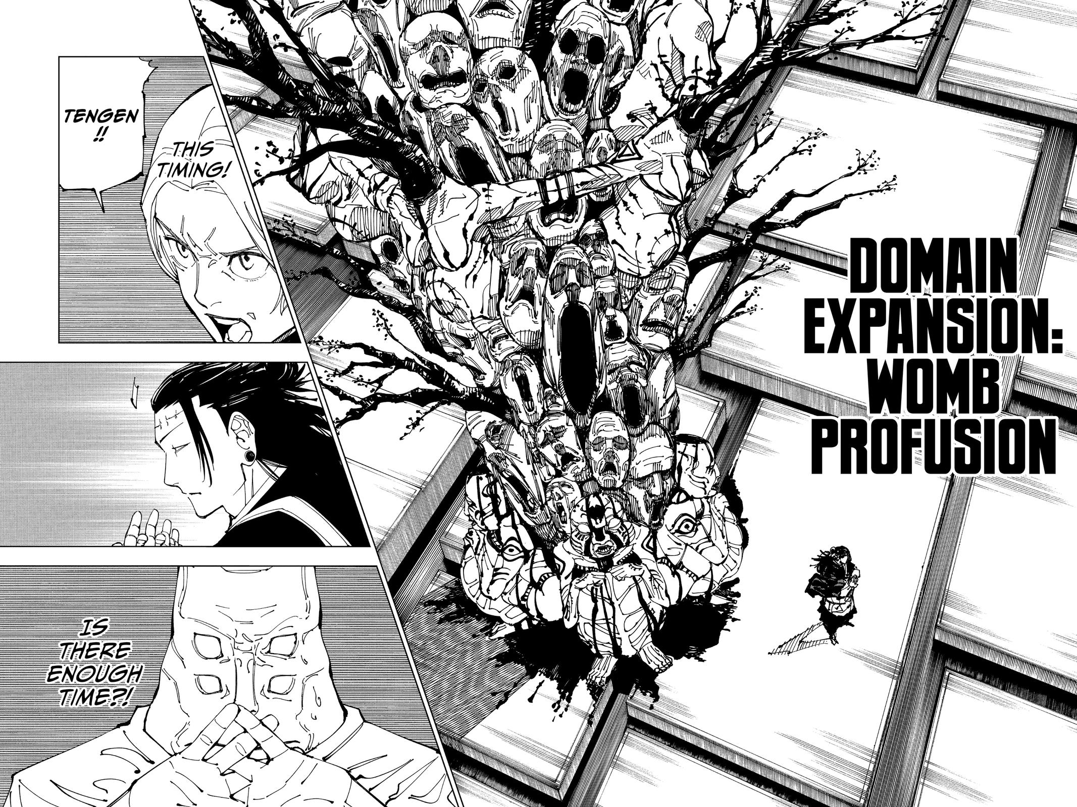 Jujutsu Kaisen Chapter 205 - Page 16