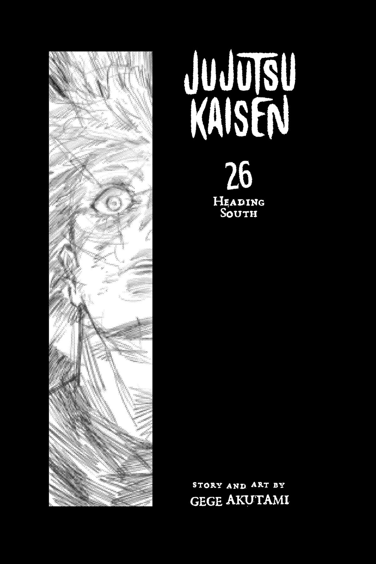 Jujutsu Kaisen Chapter 228 - Page 4