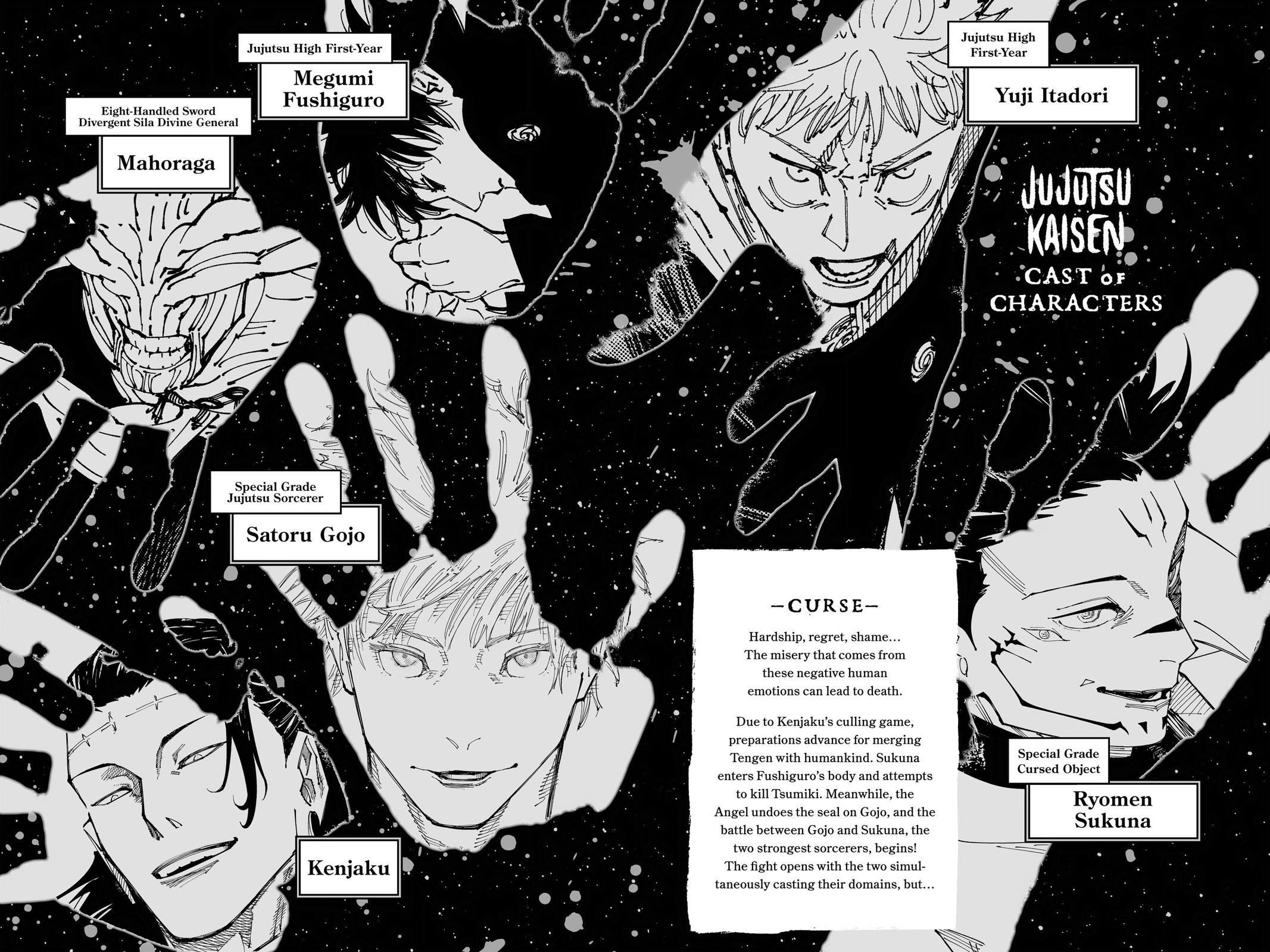 Jujutsu Kaisen Chapter 228 - Page 5