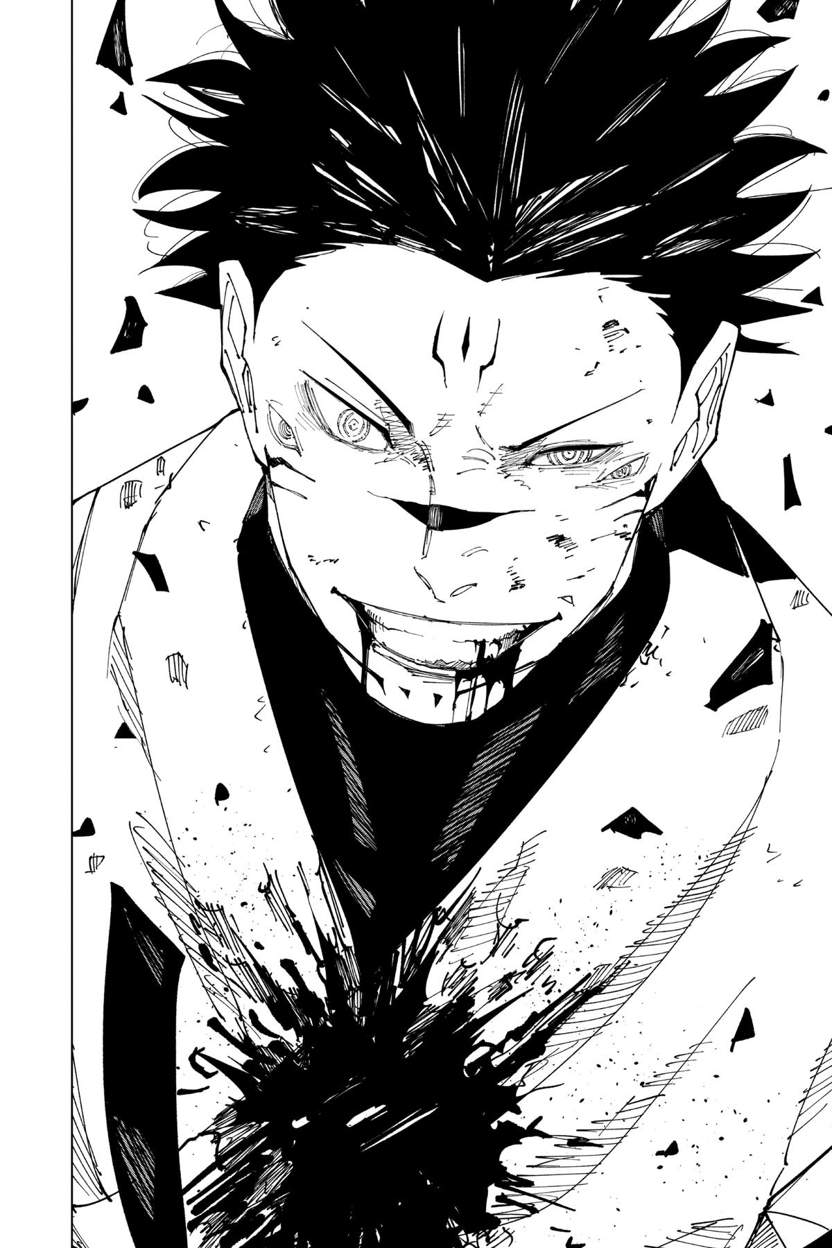 Jujutsu Kaisen Chapter 228 - Page 15