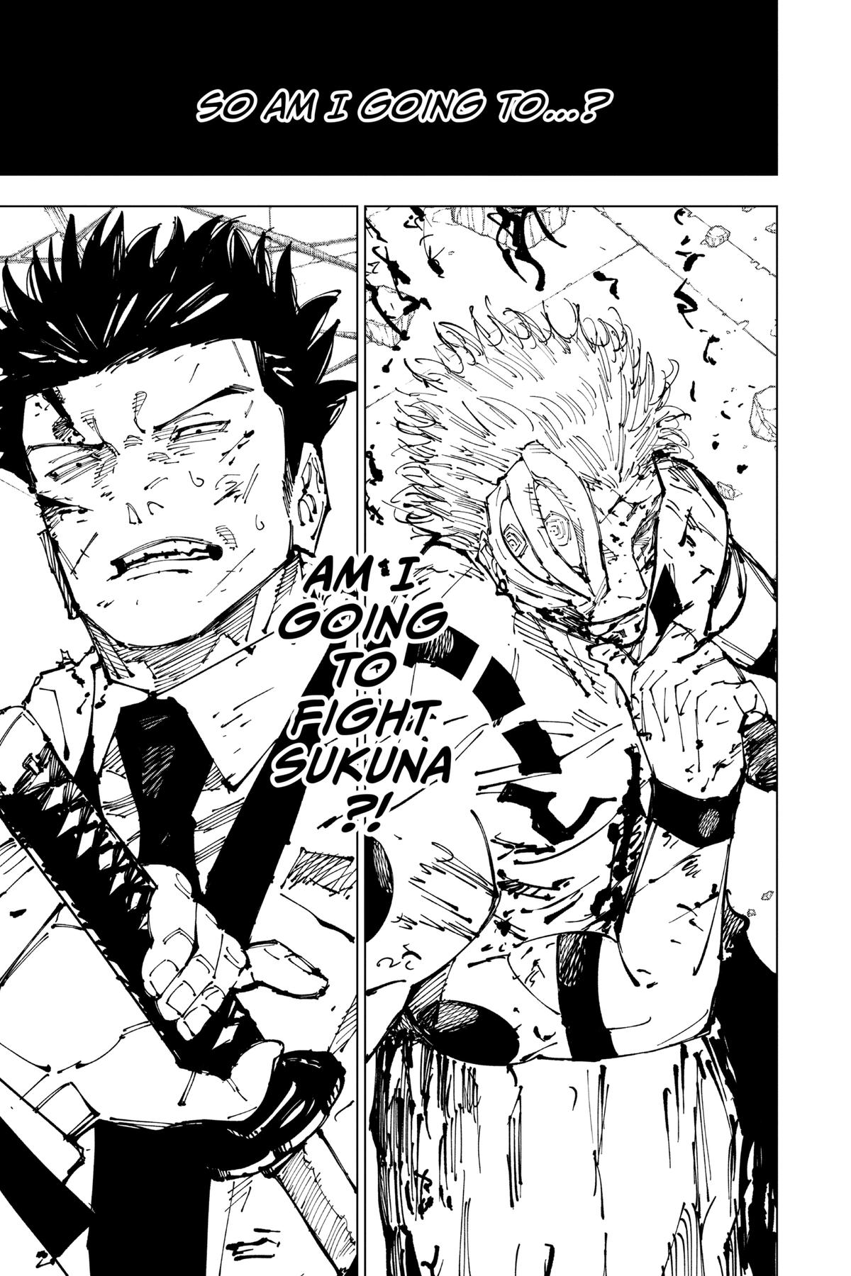 Jujutsu Kaisen Chapter 253 - Page 19