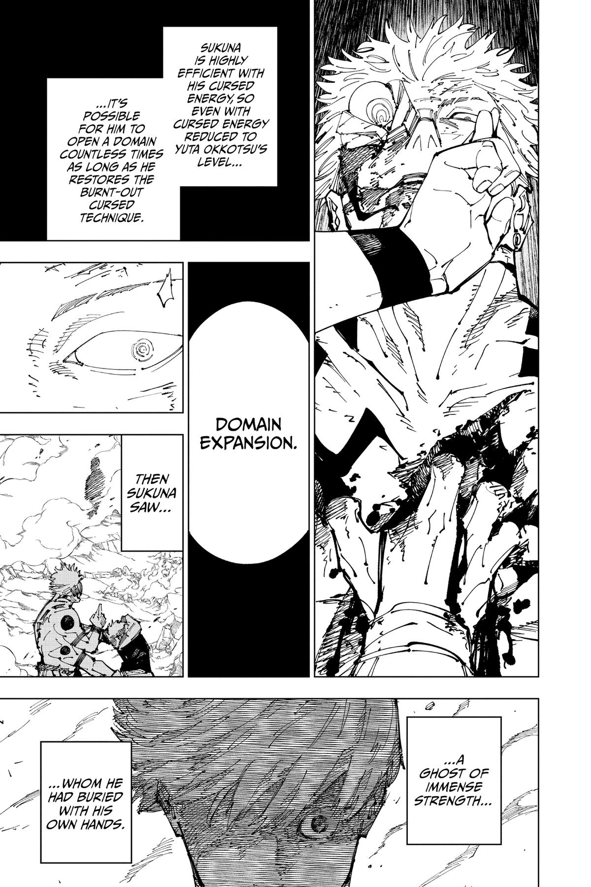 Jujutsu Kaisen Chapter 260 - Page 17