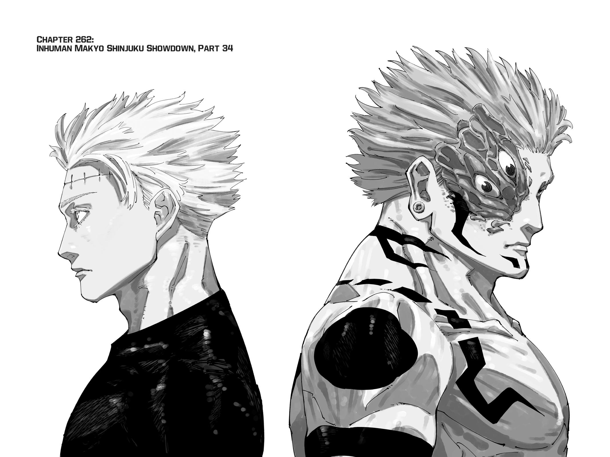 Jujutsu Kaisen Chapter 261 - Page 17