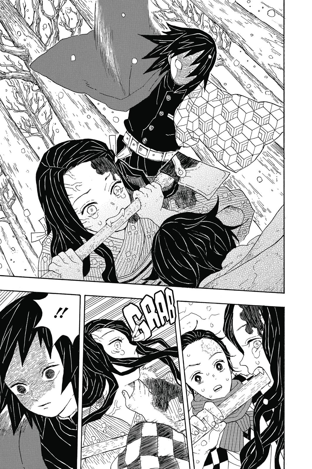 Demon Slayer: Kimetsu no Yaiba Chapter 1 - Page 29