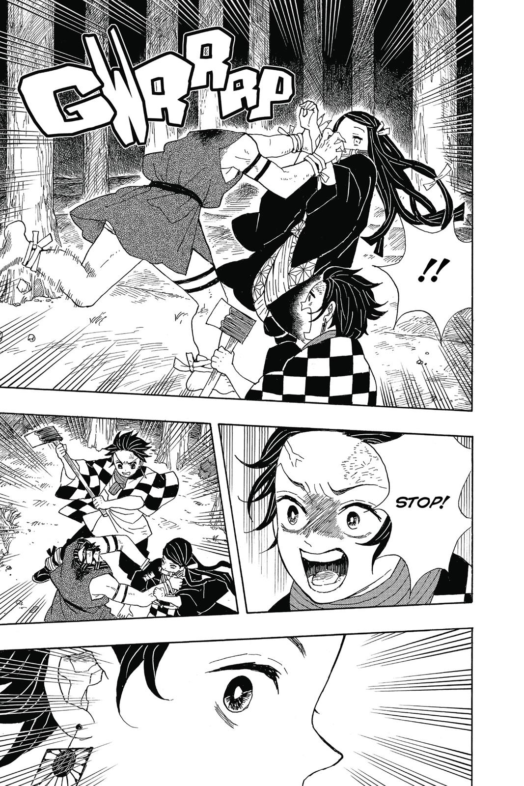 Demon Slayer: Kimetsu no Yaiba Chapter 2 - Page 17
