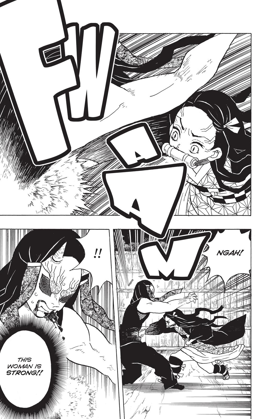 Demon Slayer: Kimetsu no Yaiba Chapter 12 - Page 13