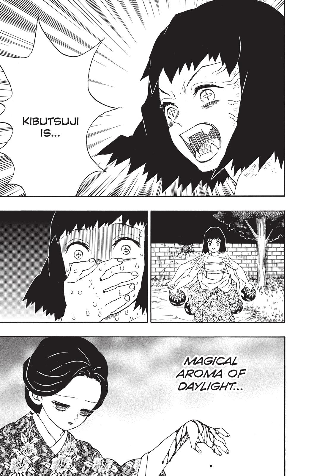 Demon Slayer: Kimetsu no Yaiba Chapter 18 - Page 17