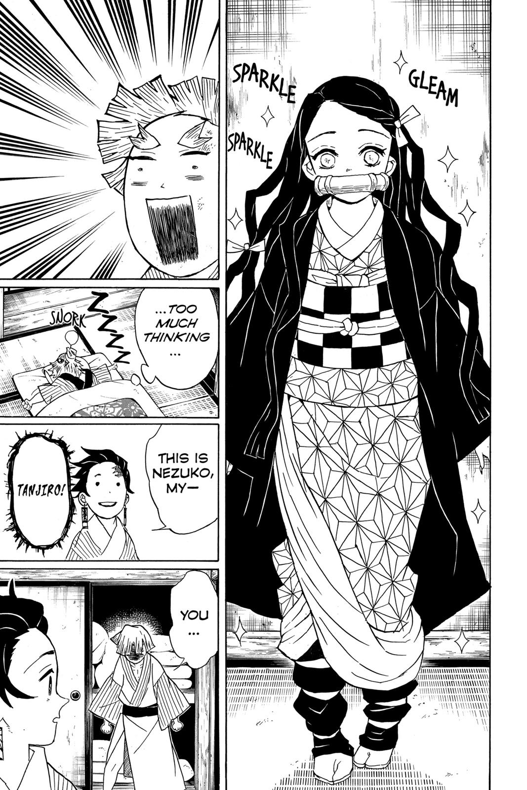 Demon Slayer: Kimetsu no Yaiba Chapter 27 - Page 17