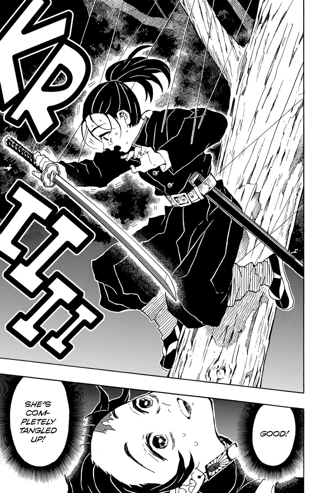 Demon Slayer: Kimetsu no Yaiba Chapter 30 - Page 17