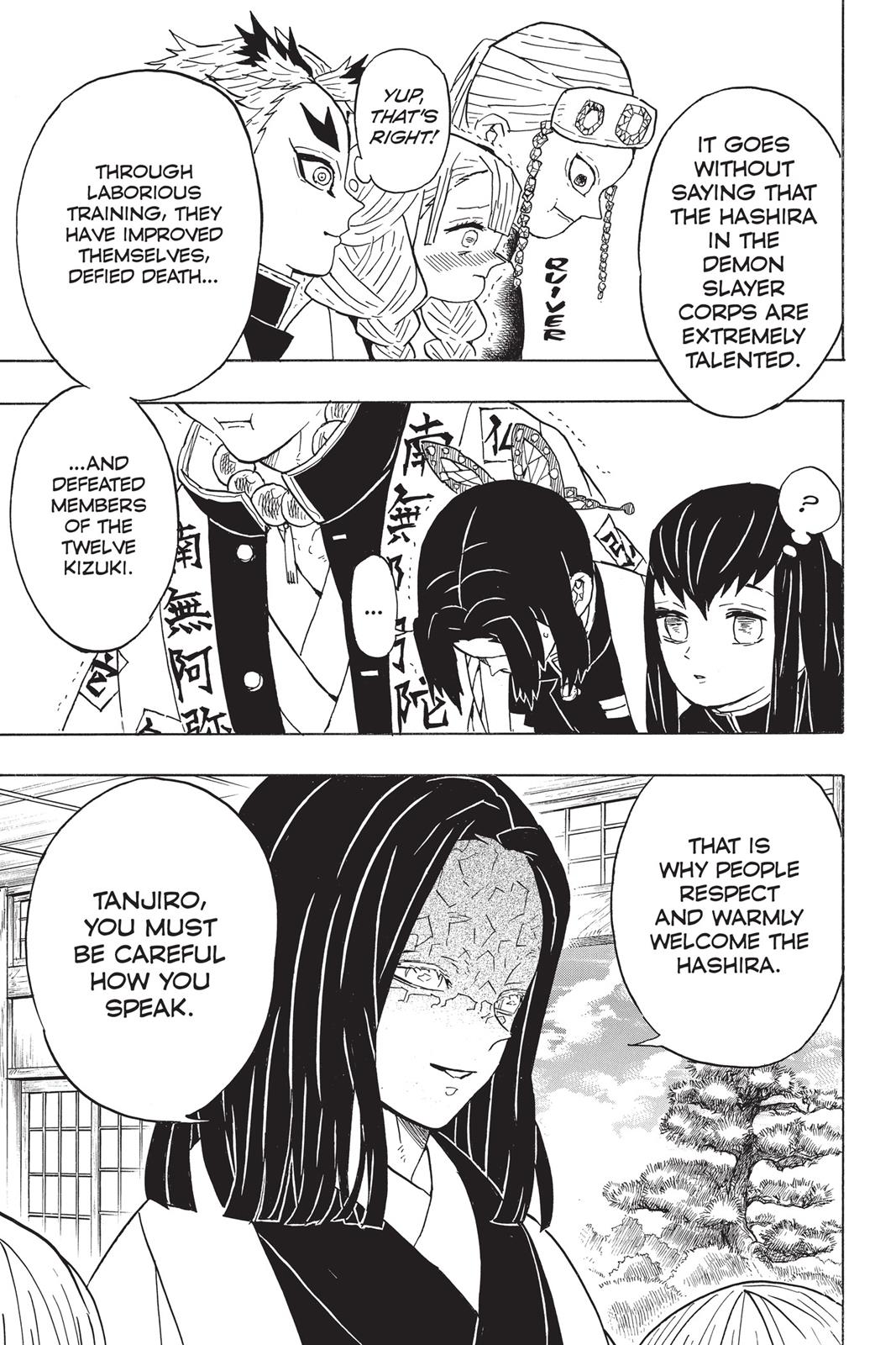 Demon Slayer: Kimetsu no Yaiba Chapter 47 - Page 17