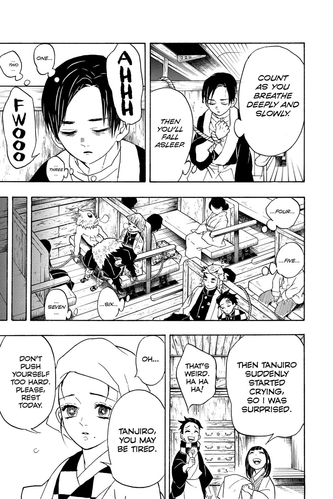 Demon Slayer: Kimetsu no Yaiba Chapter 55 - Page 17
