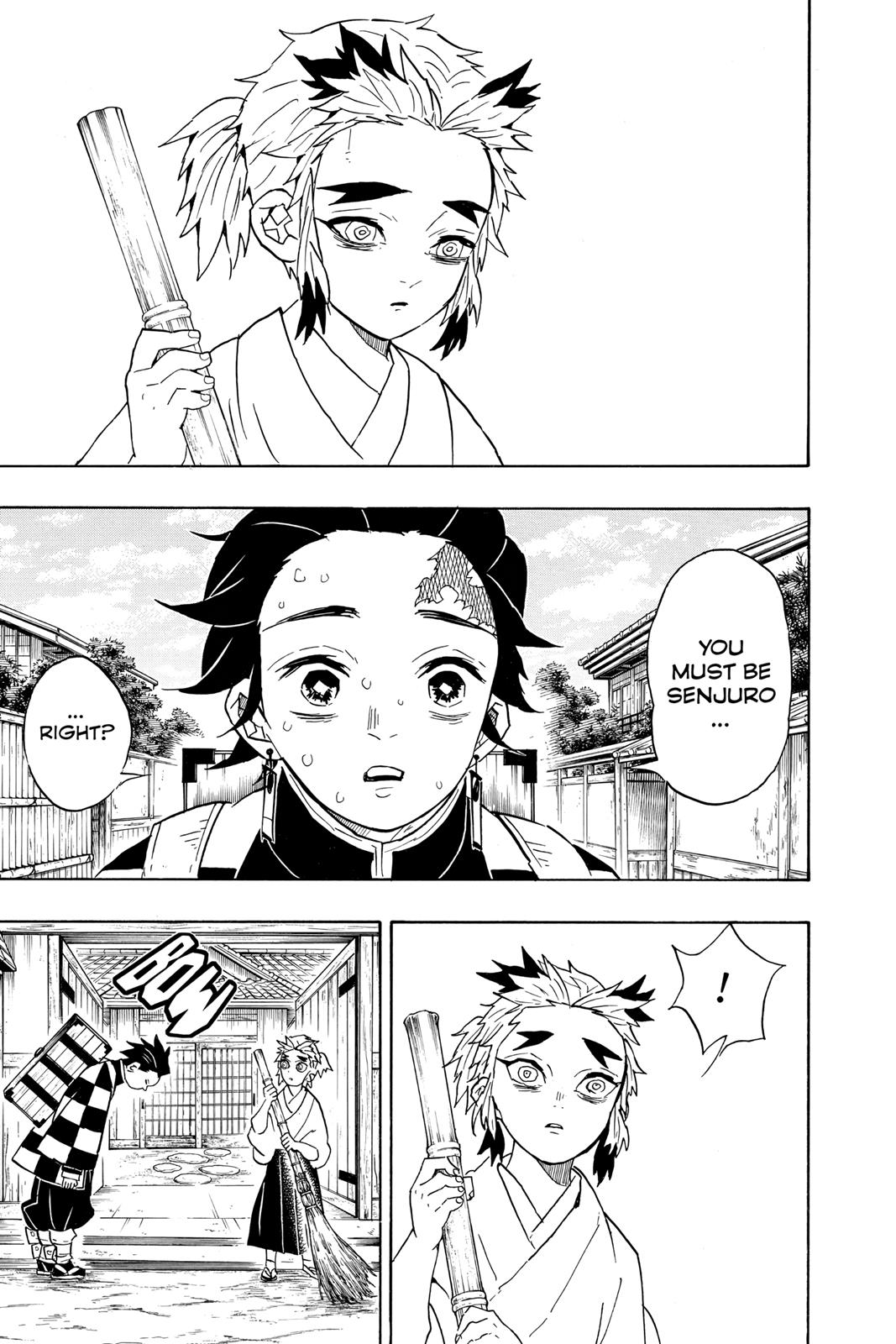 Demon Slayer: Kimetsu no Yaiba Chapter 67 - Page 17