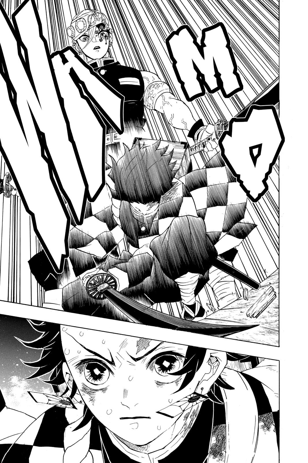 Demon Slayer: Kimetsu no Yaiba Chapter 87 - Page 22