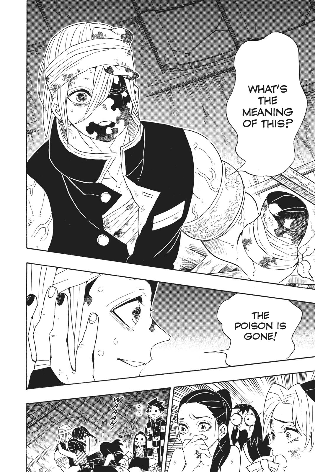 Demon Slayer: Kimetsu no Yaiba Chapter 95 - Page 14