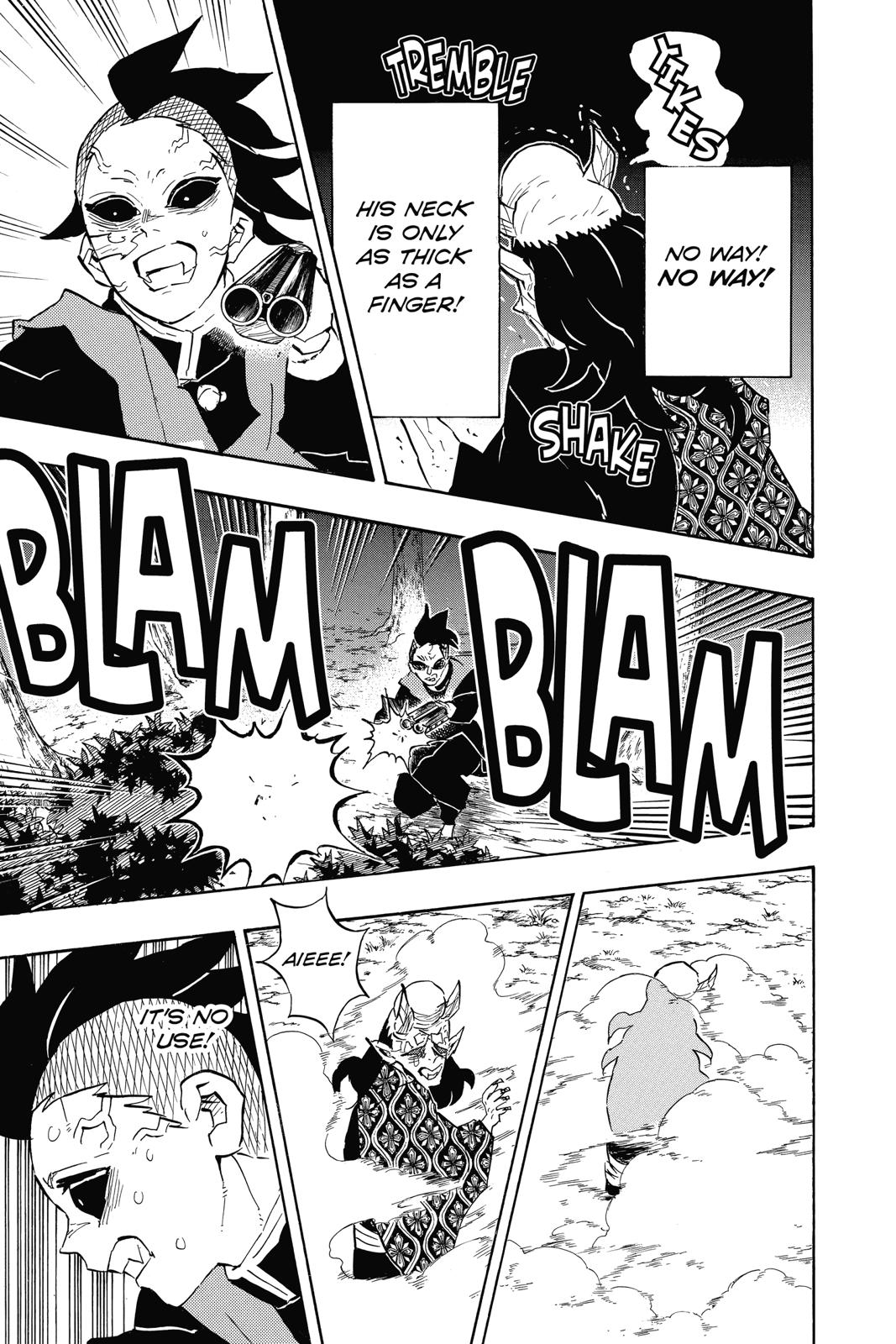 Demon Slayer: Kimetsu no Yaiba Chapter 114 - Page 17