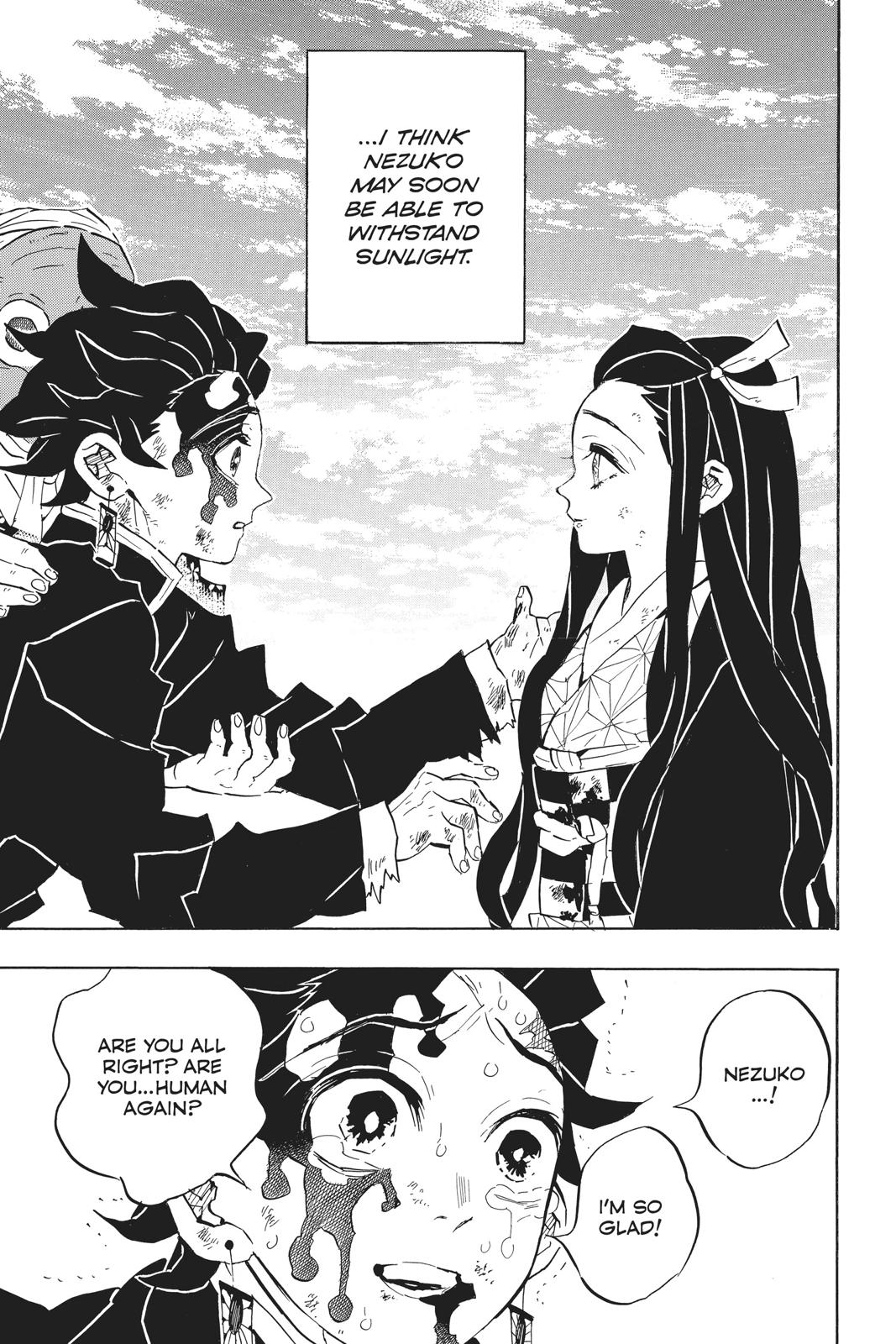 Demon Slayer: Kimetsu no Yaiba Chapter 127 - Page 3