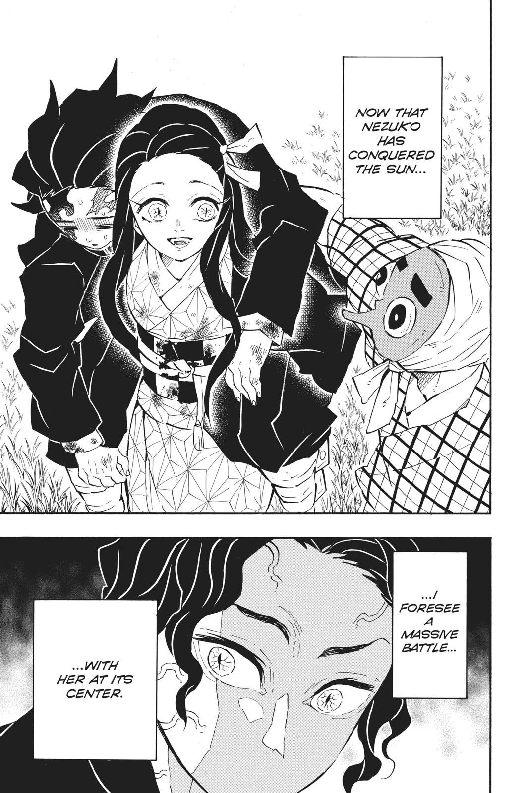 Demon Slayer: Kimetsu no Yaiba Chapter 127 - Page 17