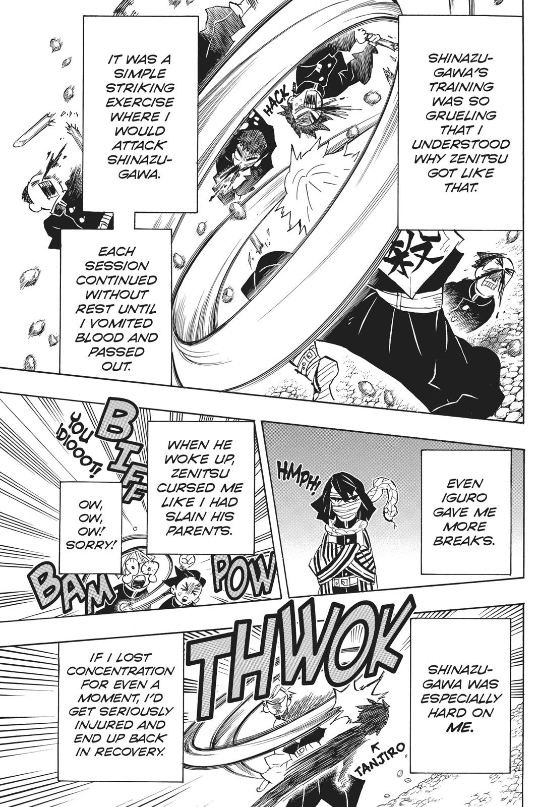 Demon Slayer: Kimetsu no Yaiba Chapter 132 - Page 17
