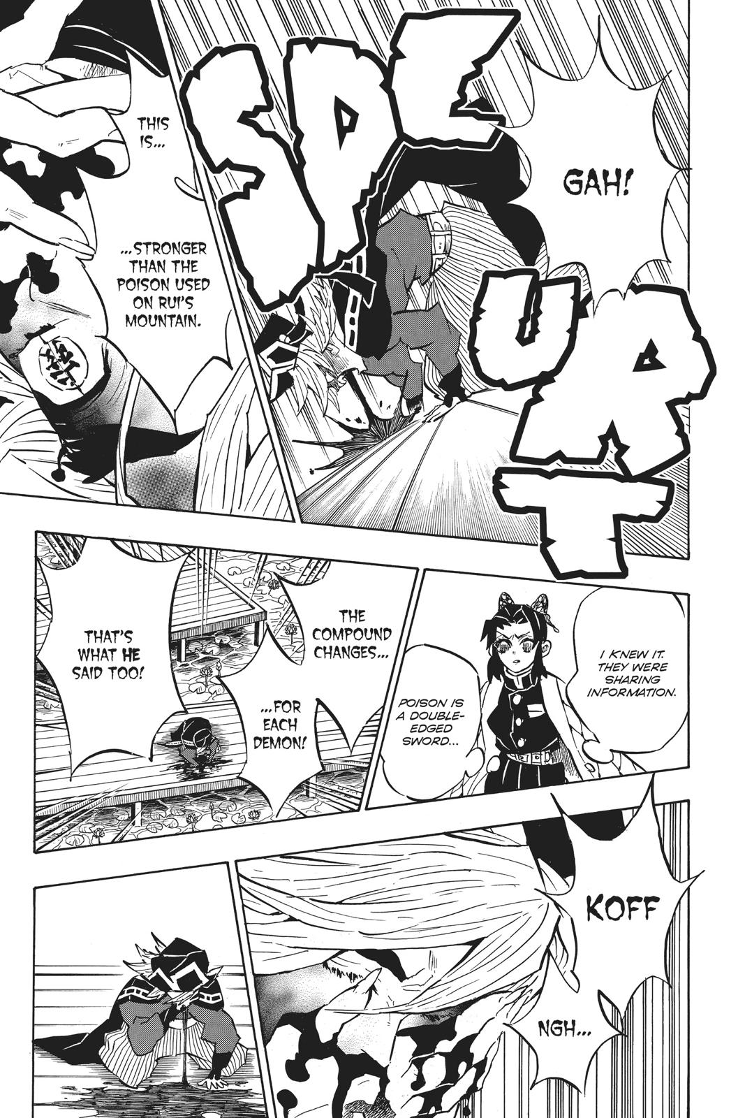 Demon Slayer: Kimetsu no Yaiba Chapter 141 - Page 17