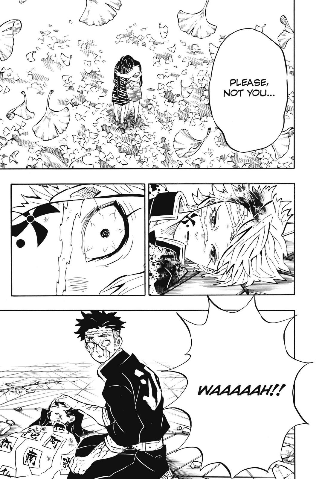 Demon Slayer: Kimetsu no Yaiba Chapter 179 - Page 19