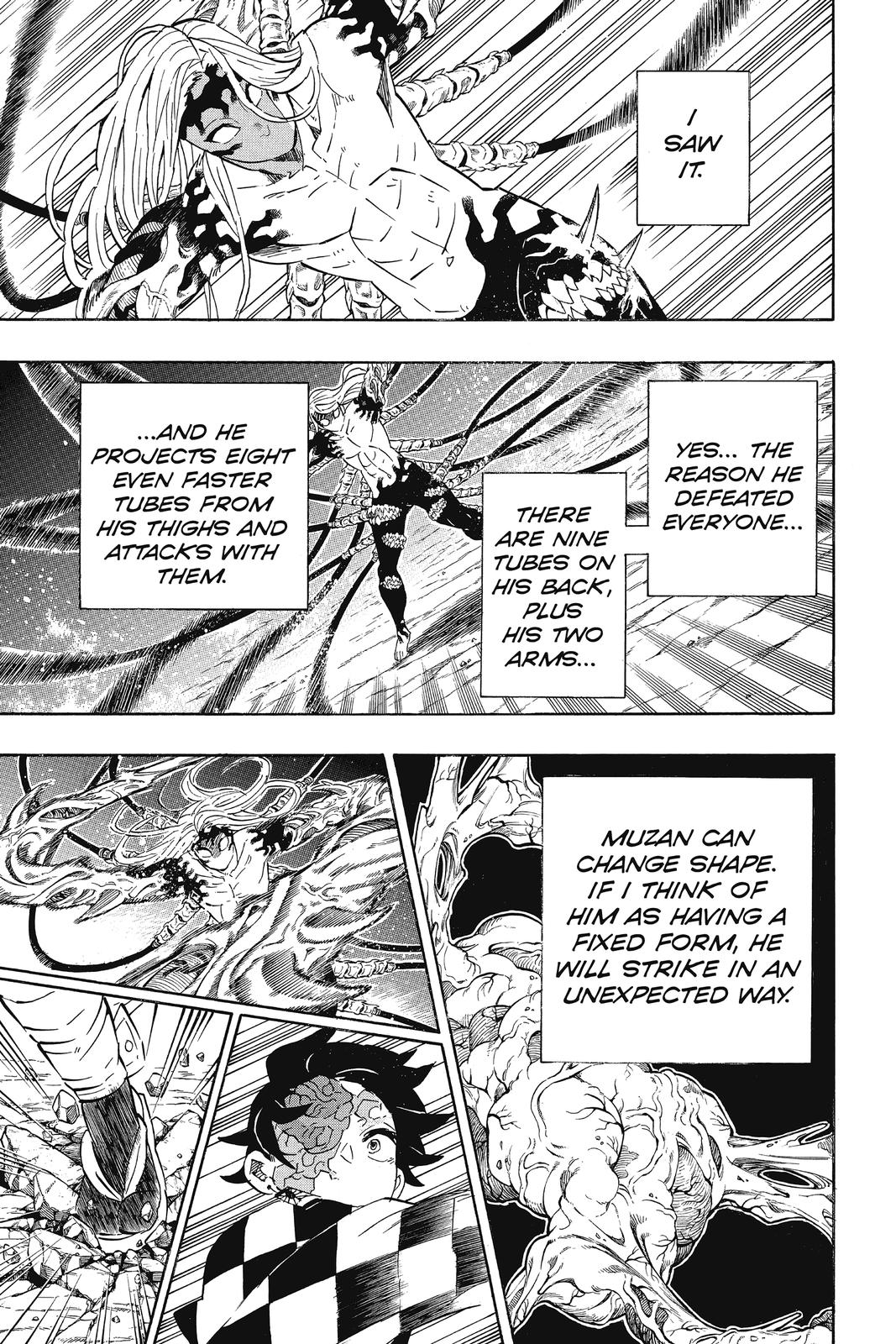 Demon Slayer: Kimetsu no Yaiba Chapter 192 - Page 17
